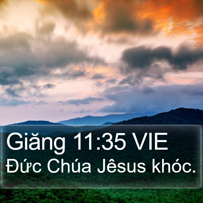 Giăng 11:35 VIE Bible Study