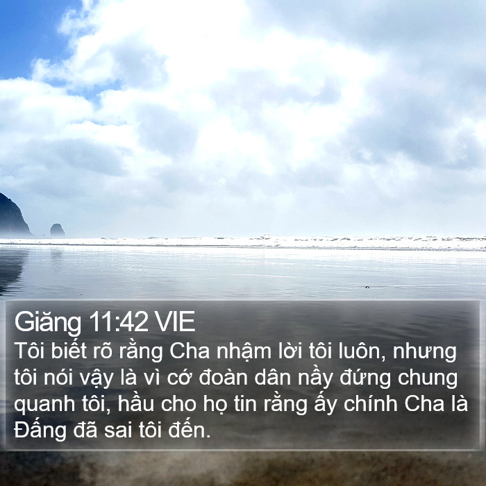 Giăng 11:42 VIE Bible Study