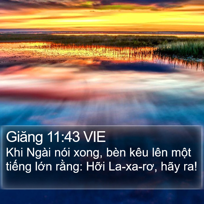 Giăng 11:43 VIE Bible Study