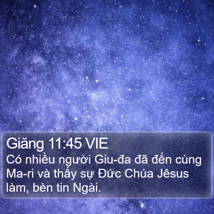 Giăng 11:45 VIE Bible Study