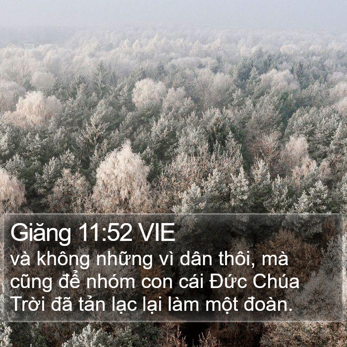 Giăng 11:52 VIE Bible Study