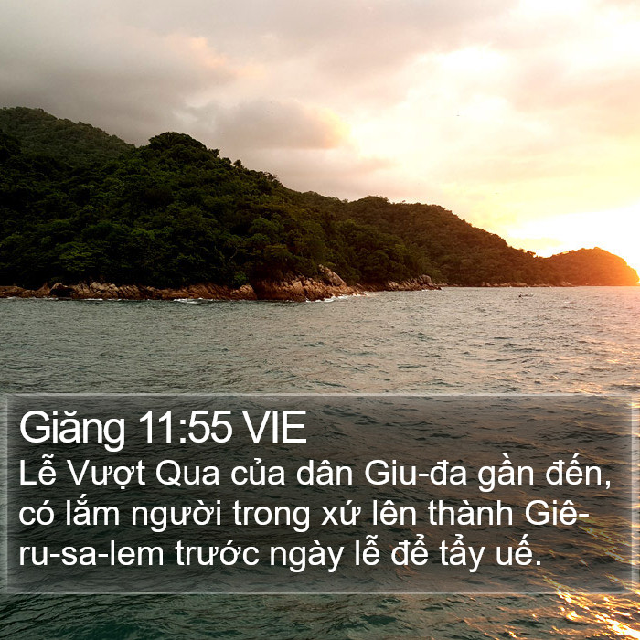 Giăng 11:55 VIE Bible Study