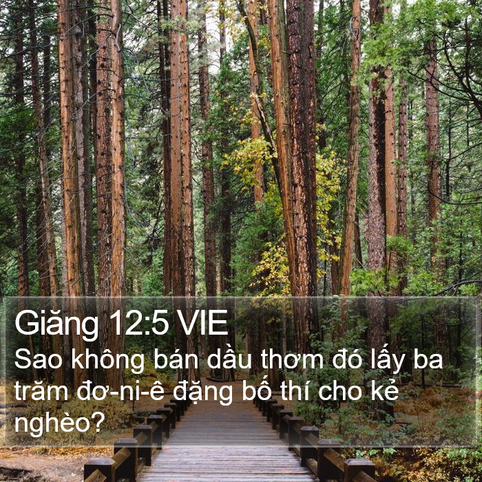 Giăng 12:5 VIE Bible Study