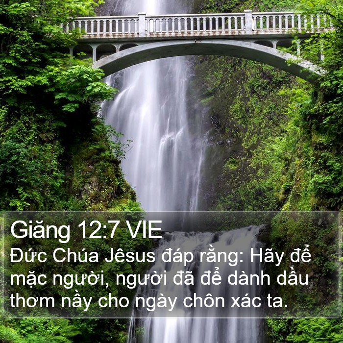 Giăng 12:7 VIE Bible Study