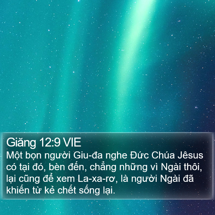 Giăng 12:9 VIE Bible Study