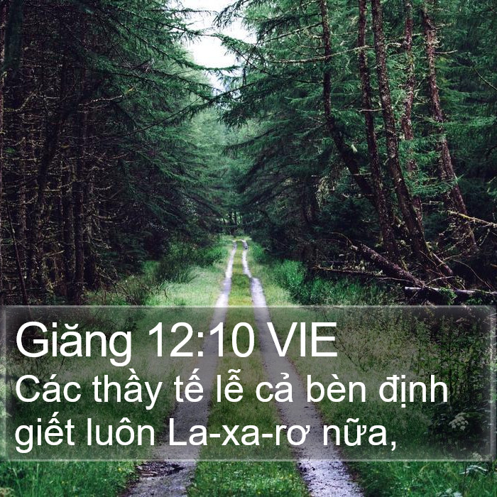 Giăng 12:10 VIE Bible Study