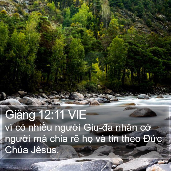 Giăng 12:11 VIE Bible Study