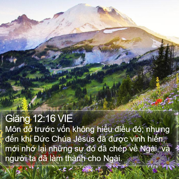 Giăng 12:16 VIE Bible Study