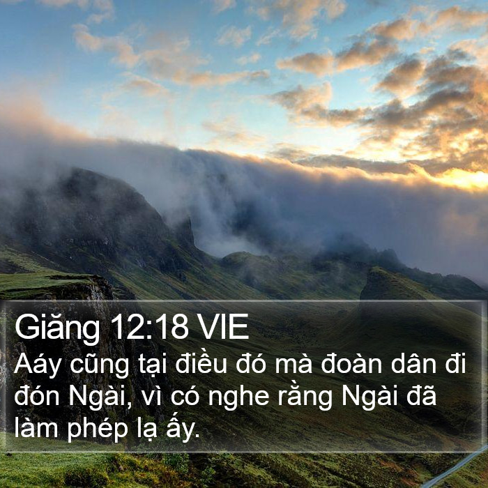 Giăng 12:18 VIE Bible Study