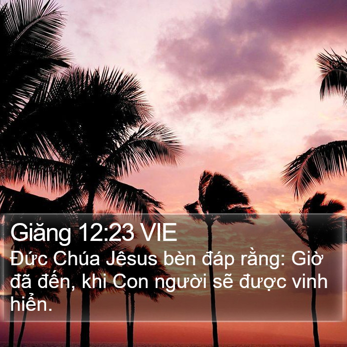 Giăng 12:23 VIE Bible Study