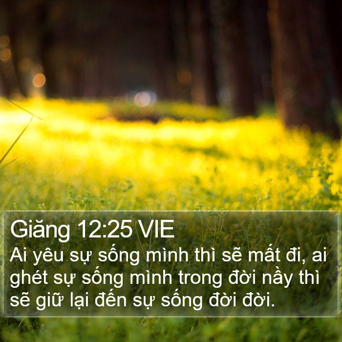 Giăng 12:25 VIE Bible Study