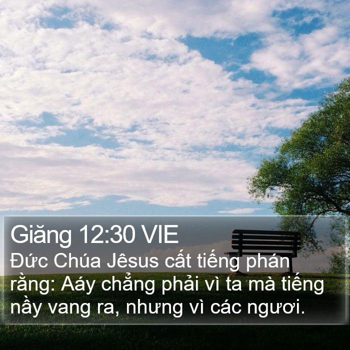 Giăng 12:30 VIE Bible Study