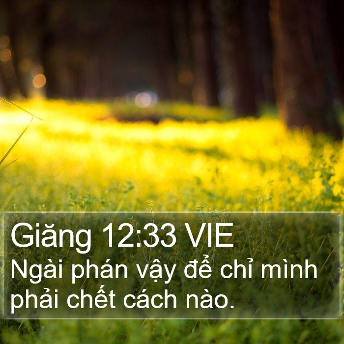 Giăng 12:33 VIE Bible Study