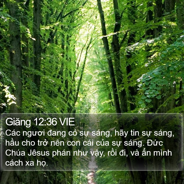 Giăng 12:36 VIE Bible Study