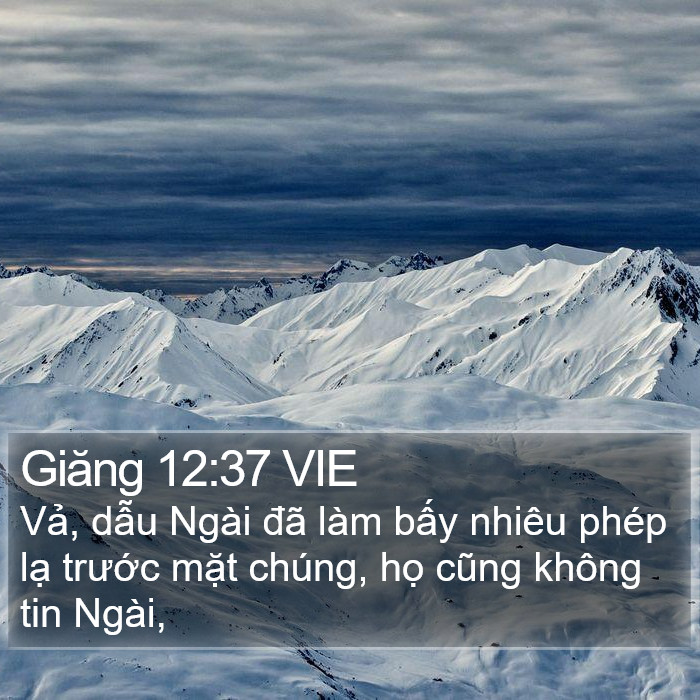 Giăng 12:37 VIE Bible Study