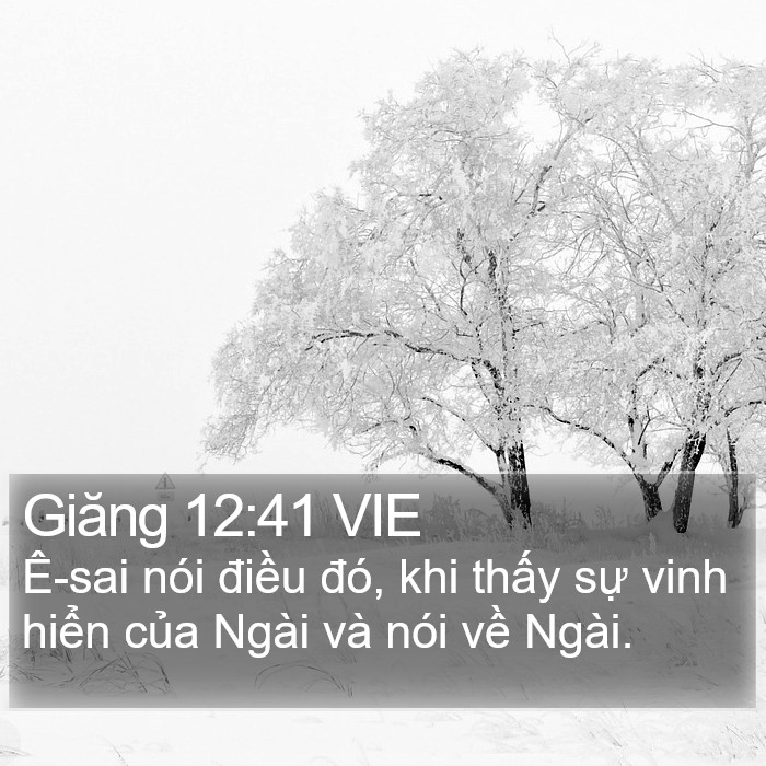 Giăng 12:41 VIE Bible Study