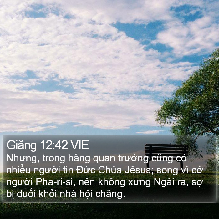 Giăng 12:42 VIE Bible Study