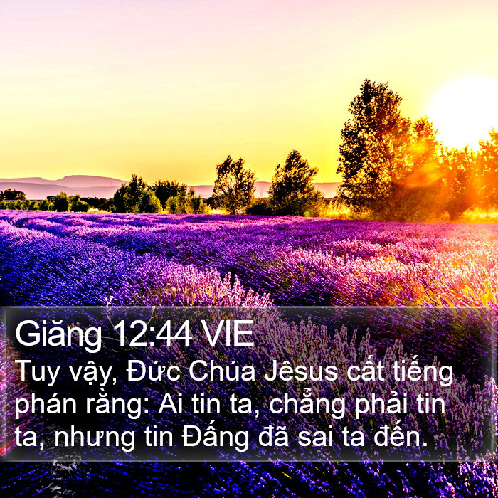 Giăng 12:44 VIE Bible Study