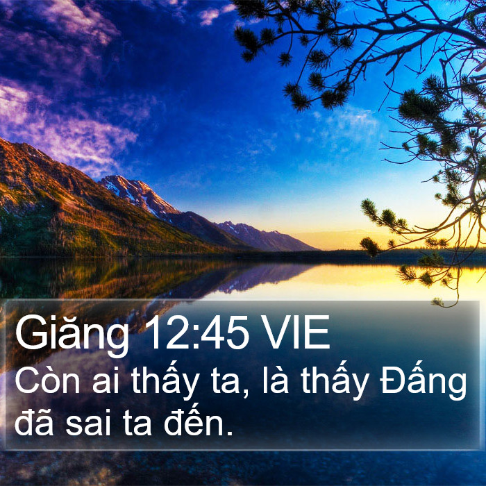 Giăng 12:45 VIE Bible Study