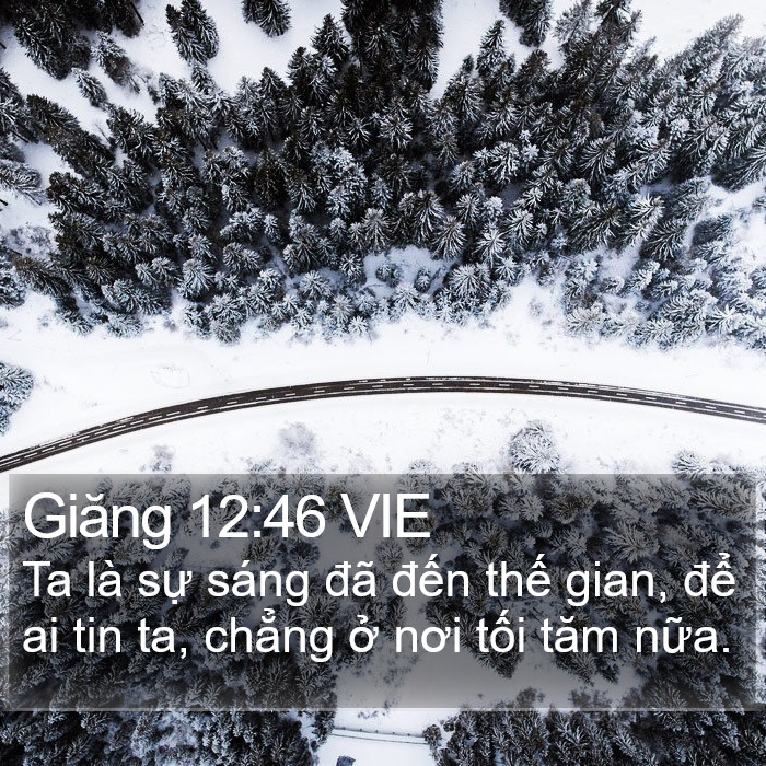 Giăng 12:46 VIE Bible Study