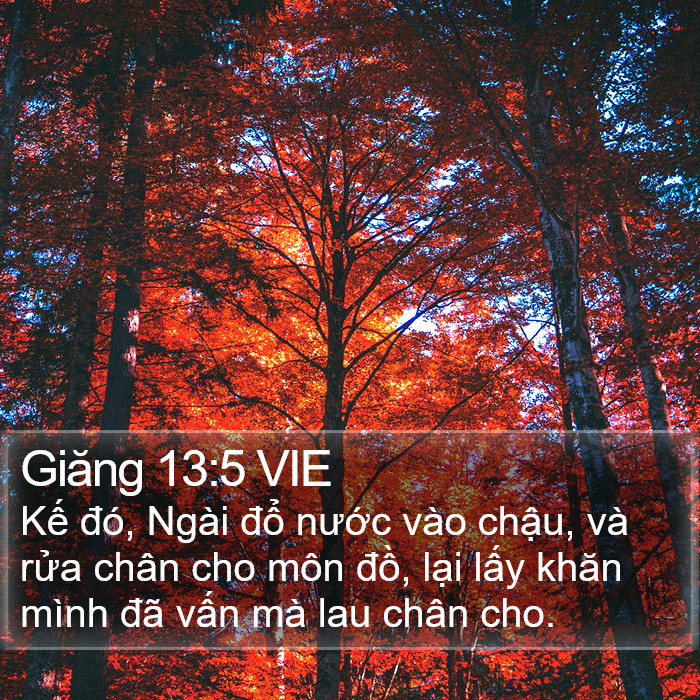 Giăng 13:5 VIE Bible Study