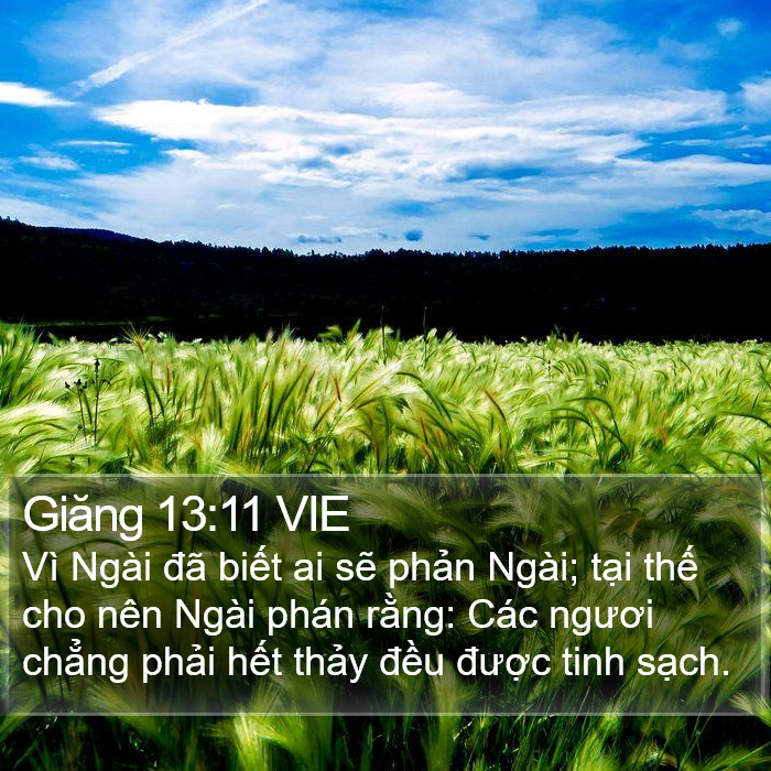 Giăng 13:11 VIE Bible Study