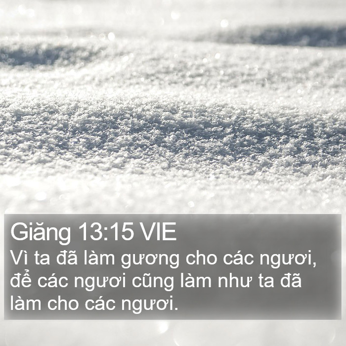 Giăng 13:15 VIE Bible Study