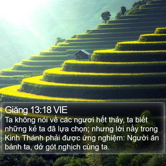 Giăng 13:18 VIE Bible Study