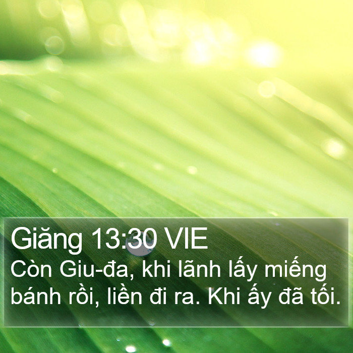 Giăng 13:30 VIE Bible Study