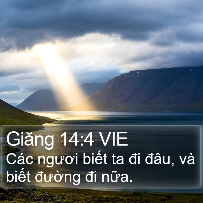 Giăng 14:4 VIE Bible Study