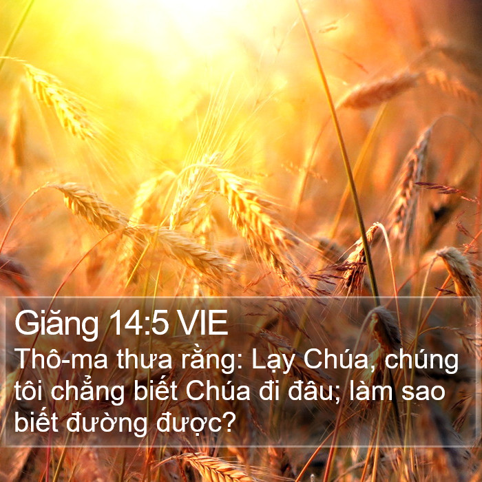 Giăng 14:5 VIE Bible Study