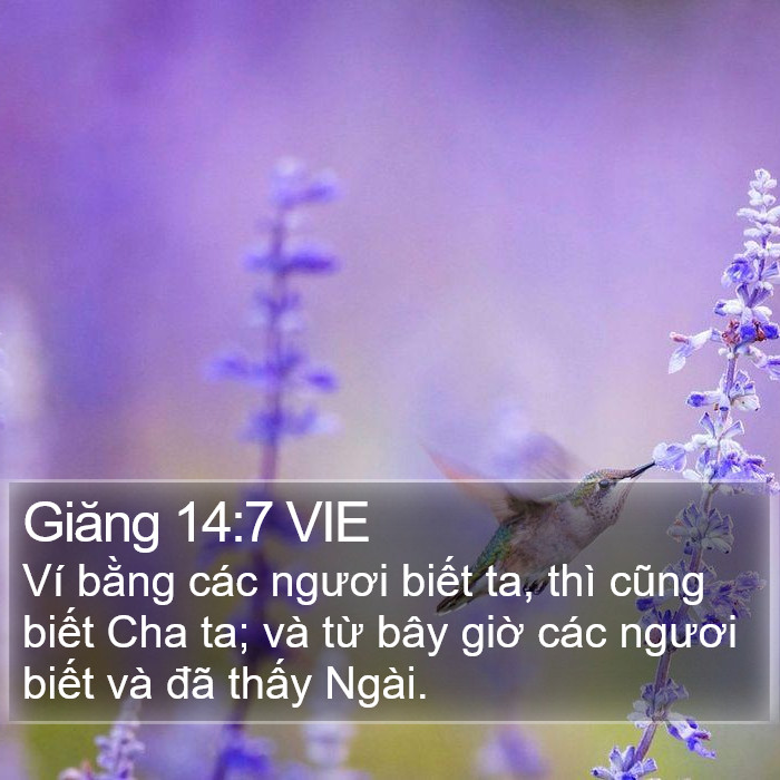 Giăng 14:7 VIE Bible Study