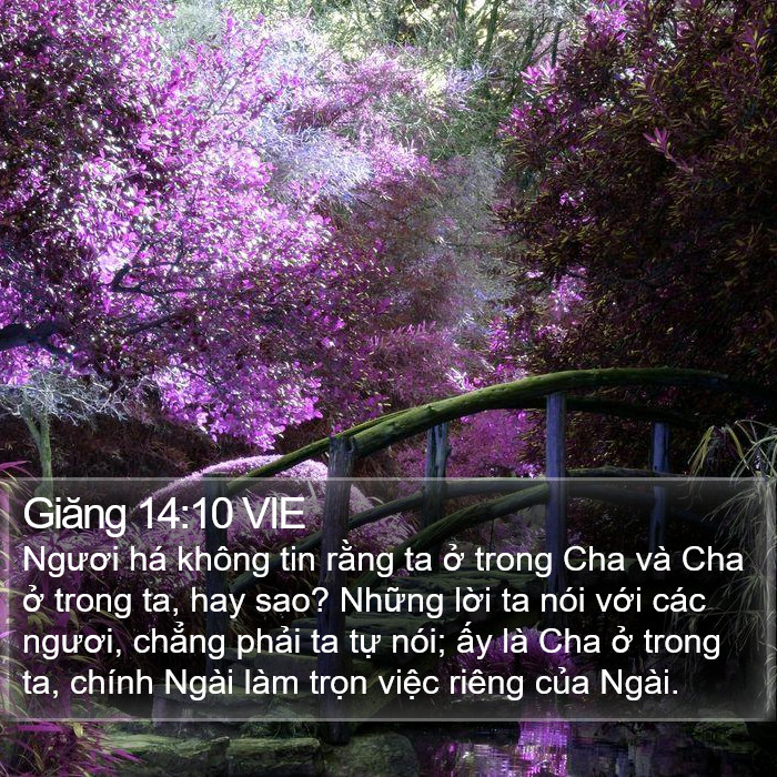 Giăng 14:10 VIE Bible Study