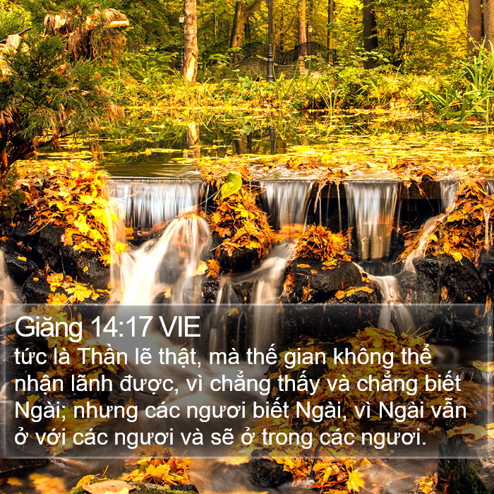 Giăng 14:17 VIE Bible Study