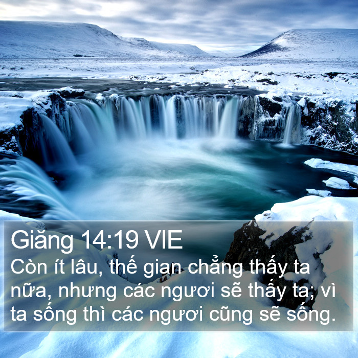 Giăng 14:19 VIE Bible Study