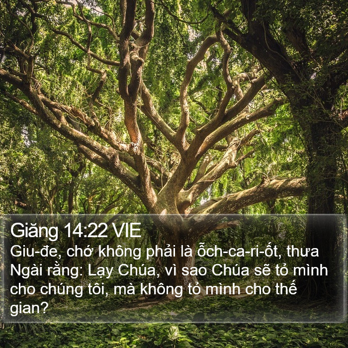 Giăng 14:22 VIE Bible Study