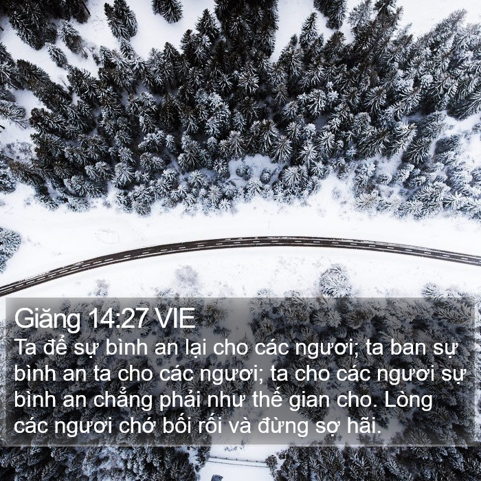 Giăng 14:27 VIE Bible Study