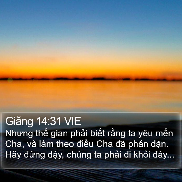 Giăng 14:31 VIE Bible Study