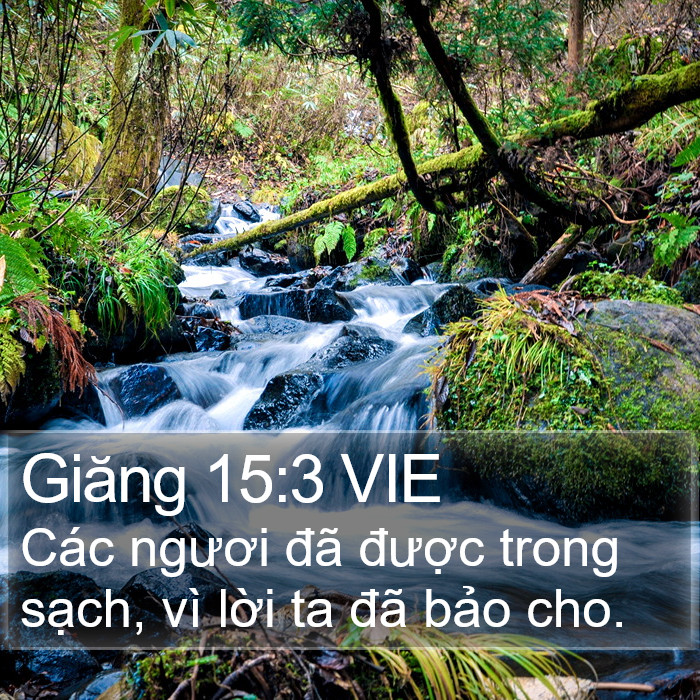 Giăng 15:3 VIE Bible Study