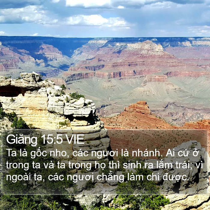 Giăng 15:5 VIE Bible Study