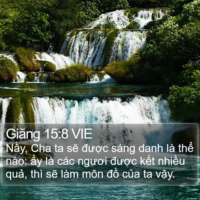 Giăng 15:8 VIE Bible Study