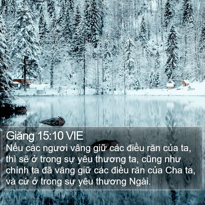 Giăng 15:10 VIE Bible Study