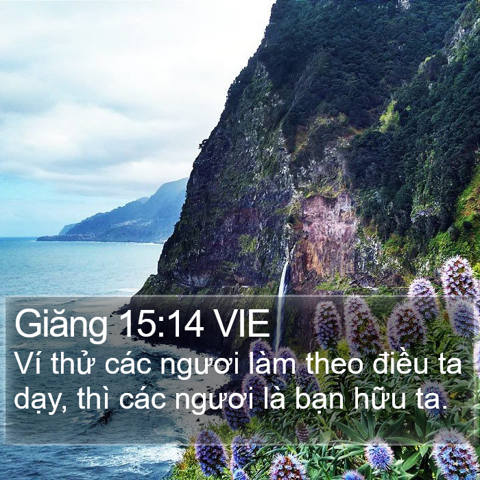 Giăng 15:14 VIE Bible Study