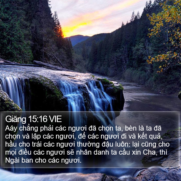 Giăng 15:16 VIE Bible Study