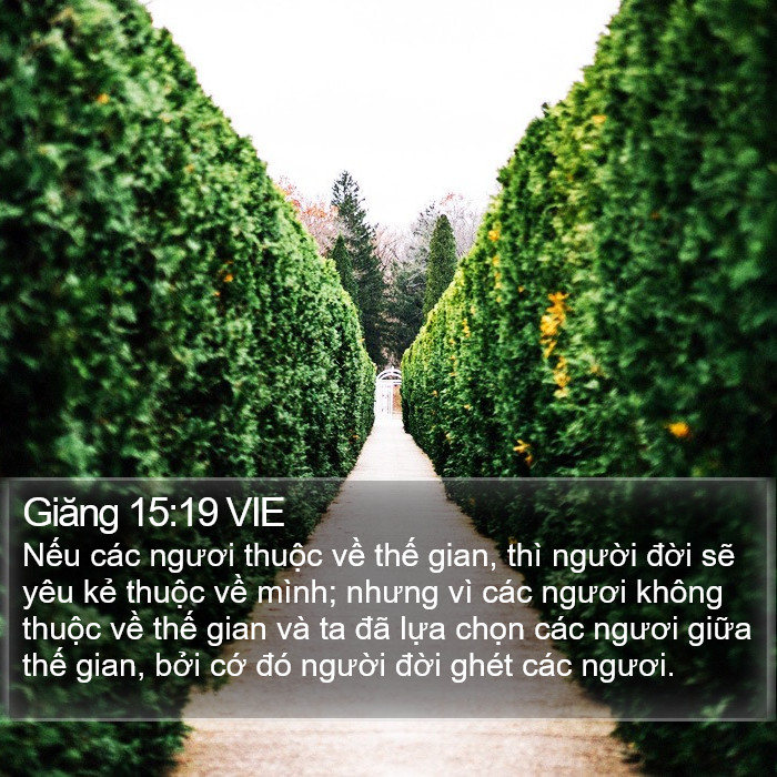 Giăng 15:19 VIE Bible Study