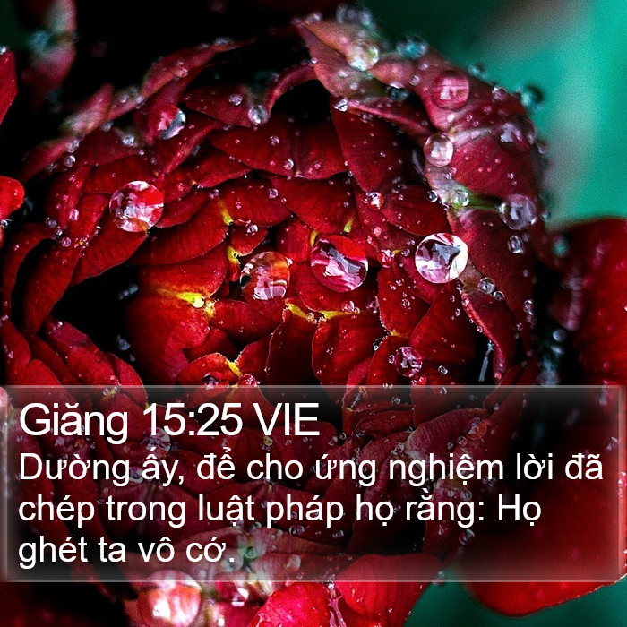 Giăng 15:25 VIE Bible Study