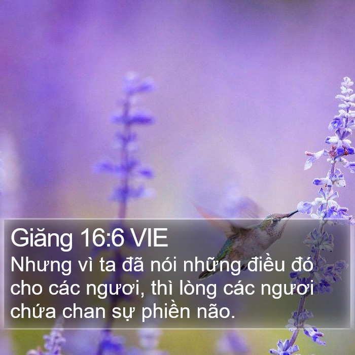 Giăng 16:6 VIE Bible Study