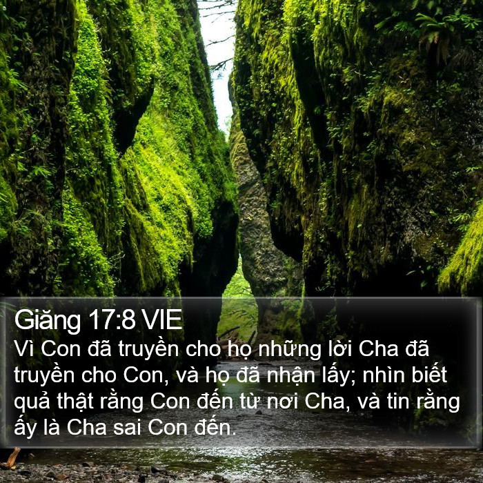 Giăng 17:8 VIE Bible Study