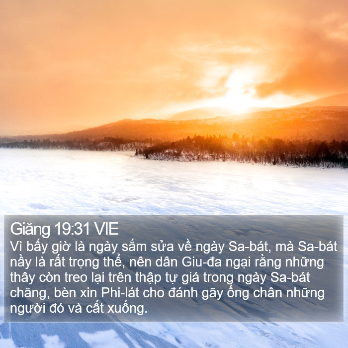 Giăng 19:31 VIE Bible Study