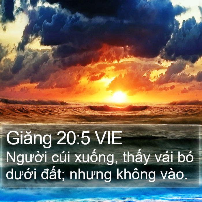 Giăng 20:5 VIE Bible Study